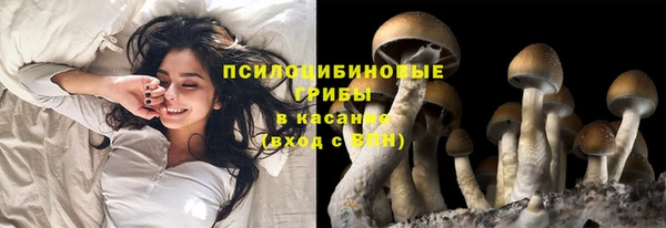 первитин Вязники