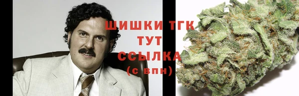 СК Вязьма