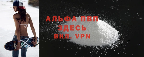 СК Вязьма