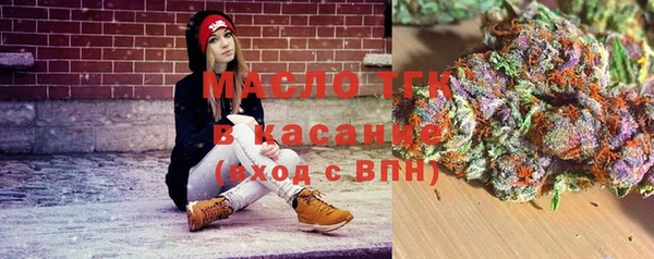 СК Вязьма