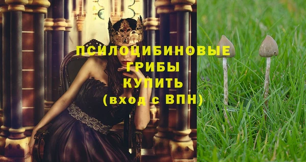 MDMA Вяземский