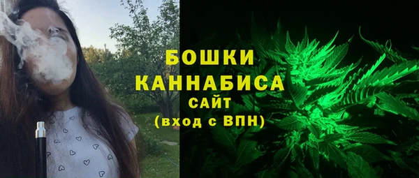 СК Вязьма