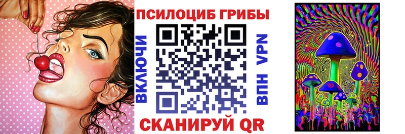 Купить  Химки  Галлюциногенные грибы MAGIC MUSHROOMS 